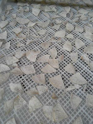 淀粉烘干設(shè)備 淀粉烘干設(shè)備